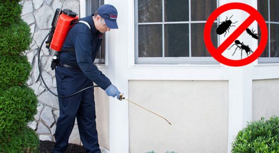 Aksu Gümüşkurt İlaçlama böcek ilaçlama ve haşere kontrolü — ilaclama-tr.com